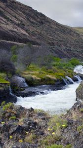 Preview wallpaper river, valley, landscape, nature, trees