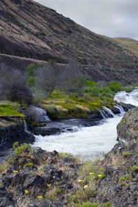 Preview wallpaper river, valley, landscape, nature, trees