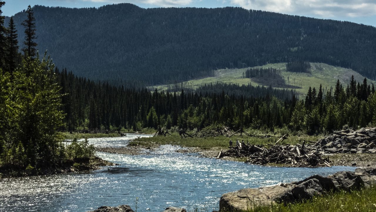 Wallpaper river, water, forest, trees, landscape, nature