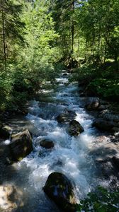 Preview wallpaper river, water, forest, trees, nature