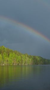 Preview wallpaper river, water, rainbow, forest, landscape