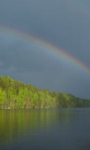 Preview wallpaper river, water, rainbow, forest, landscape