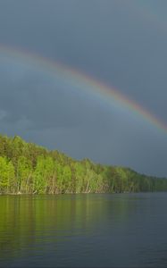 Preview wallpaper river, water, rainbow, forest, landscape