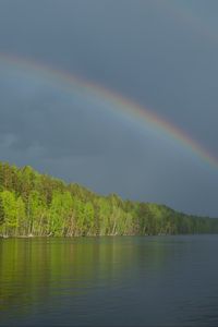 Preview wallpaper river, water, rainbow, forest, landscape