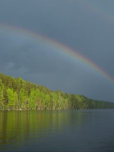 Preview wallpaper river, water, rainbow, forest, landscape