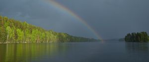 Preview wallpaper river, water, rainbow, forest, landscape