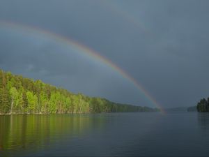 Preview wallpaper river, water, rainbow, forest, landscape