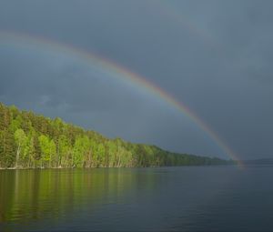 Preview wallpaper river, water, rainbow, forest, landscape