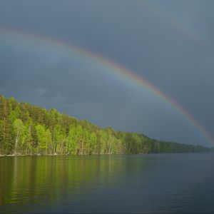 Preview wallpaper river, water, rainbow, forest, landscape