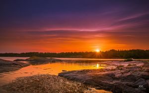 Preview wallpaper river, water, shore, sunset, trees