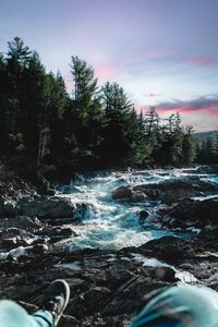 Preview wallpaper river, water, stones, trees, nature, legs, landscape