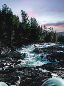 Preview wallpaper river, water, stones, trees, nature, legs, landscape