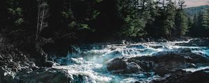Preview wallpaper river, water, stones, trees, nature, legs, landscape