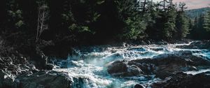 Preview wallpaper river, water, stones, trees, nature, legs, landscape