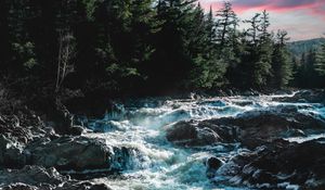 Preview wallpaper river, water, stones, trees, nature, legs, landscape