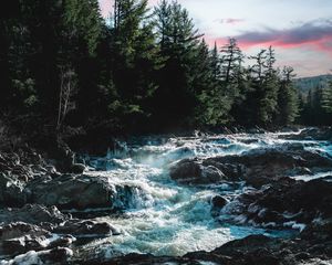 Preview wallpaper river, water, stones, trees, nature, legs, landscape