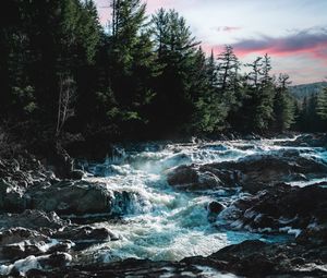 Preview wallpaper river, water, stones, trees, nature, legs, landscape