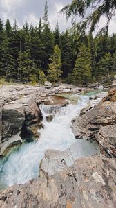 Preview wallpaper river, water, stones, trees, nature, landscape