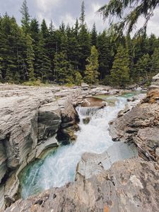 Preview wallpaper river, water, stones, trees, nature, landscape