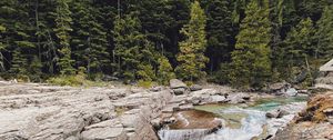 Preview wallpaper river, water, stones, trees, nature, landscape