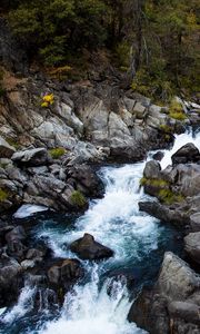 Preview wallpaper river, water, stones, trees, nature