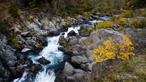 Preview wallpaper river, water, stones, trees, nature
