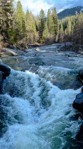 Preview wallpaper river, water, trees, nature
