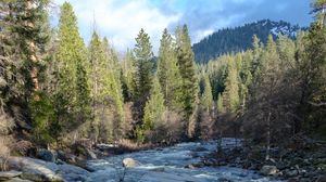 Preview wallpaper river, water, trees, nature