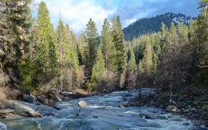 Preview wallpaper river, water, trees, nature