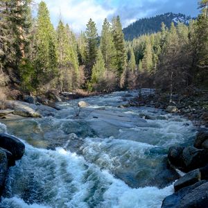 Preview wallpaper river, water, trees, nature