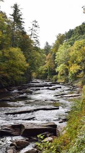 Preview wallpaper river, water, trees, landscape, nature