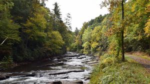 Preview wallpaper river, water, trees, landscape, nature