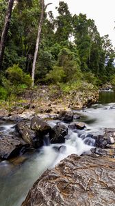 Preview wallpaper river, waterfall, forest, trees, nature, landscape