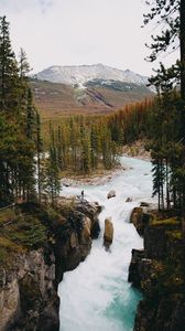 Preview wallpaper river, waterfall, mountain, forest, nature