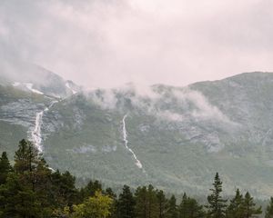 Preview wallpaper river, waterfall, spruce, trees, mountains