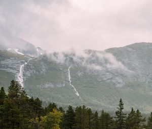 Preview wallpaper river, waterfall, spruce, trees, mountains