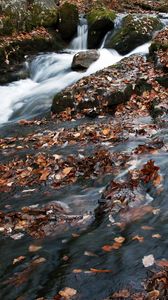 Preview wallpaper river, waterfall, stones, leaves, autumn, nature