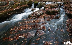 Preview wallpaper river, waterfall, stones, leaves, autumn, nature