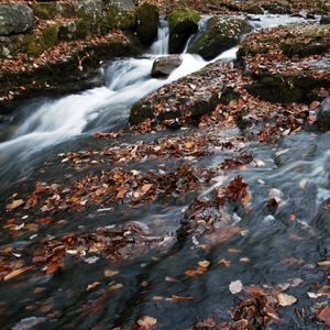 Preview wallpaper river, waterfall, stones, leaves, autumn, nature