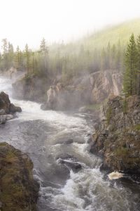 Preview wallpaper river, waves, slope, trees, nature, landscape