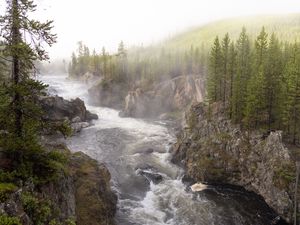 Preview wallpaper river, waves, slope, trees, nature, landscape