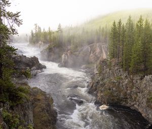 Preview wallpaper river, waves, slope, trees, nature, landscape