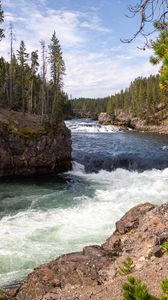 Preview wallpaper river, waves, trees, forest, trunks, nature