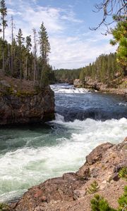 Preview wallpaper river, waves, trees, forest, trunks, nature