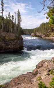 Preview wallpaper river, waves, trees, forest, trunks, nature