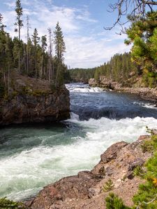 Preview wallpaper river, waves, trees, forest, trunks, nature