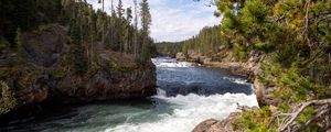 Preview wallpaper river, waves, trees, forest, trunks, nature