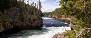 Preview wallpaper river, waves, trees, forest, trunks, nature