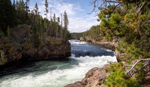 Preview wallpaper river, waves, trees, forest, trunks, nature