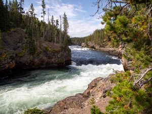 Preview wallpaper river, waves, trees, forest, trunks, nature
